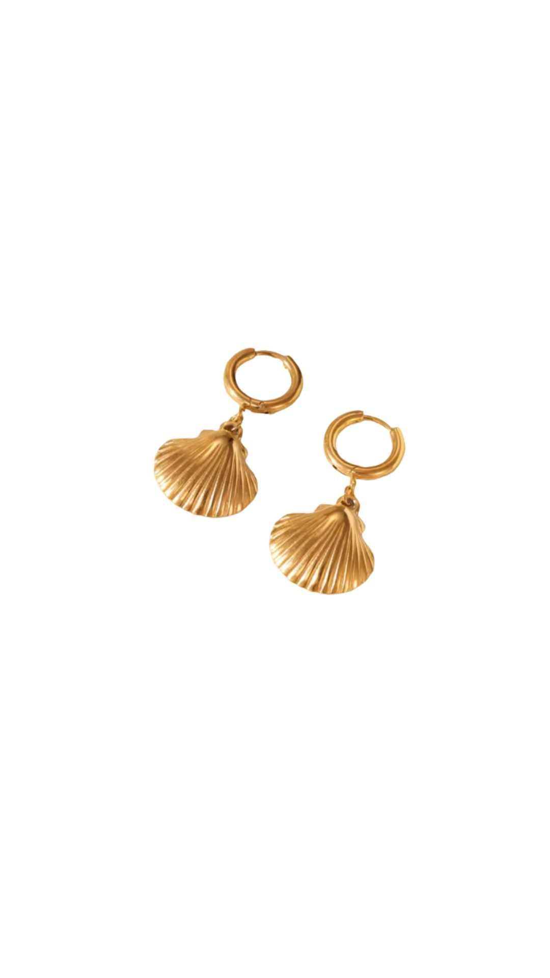 Seashell Earrings