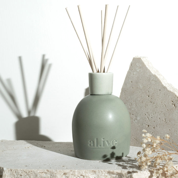 Blackcurrant & Caribbean Wood Diffuser